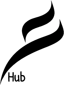 Ali Hub